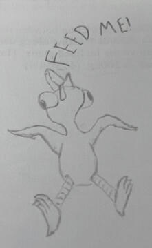 Silly Bird Silly Bird