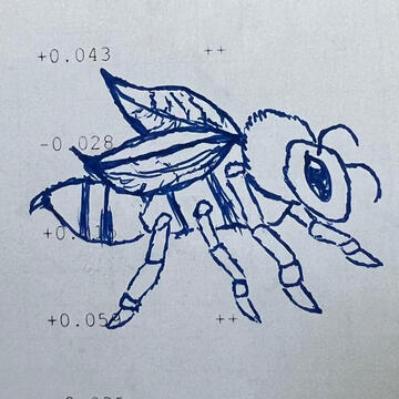 Insect